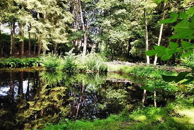 Ferienhaus in Houffalize mit Garten