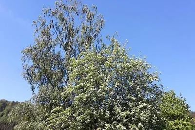 In der Region (Sommer) (>5 km) In der Region (Sommer) (>5 km)