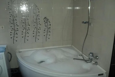 Deluxe One Bedroom Apartment C