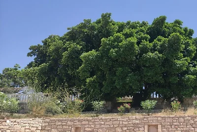 Villa Sarah Komfortable Ferienresidenz