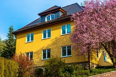 Ferienwohnung mit Sauna in Schönbrunn...