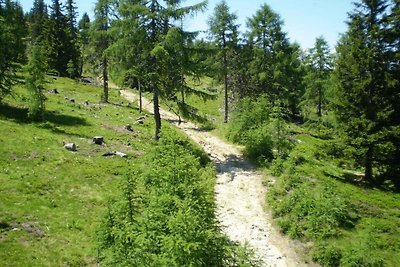 Berghütte Benedikt Komfortable Ferienresidenz