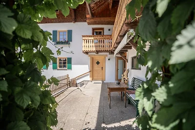 Appartamento per cani nella valle di Tannheim