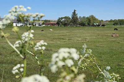 6 Personen Ferienhaus in Vesløs-By Traum