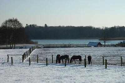 Vakantiehuis met 3 slaapkamers