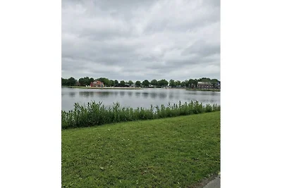 Wollige vooruitzichten