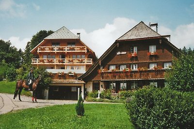 Appartement bij het skigebied in Urberg