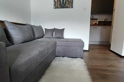 Geweldig appartement vlakbij het skigebied