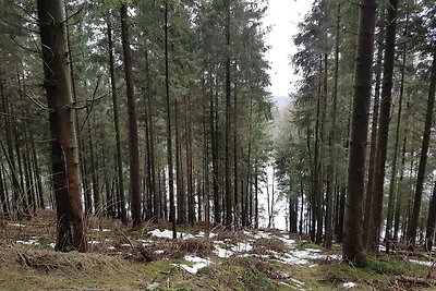 Appartamento per le vacanze a Winterberg vici...