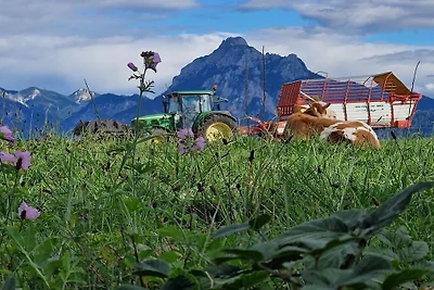 Marie's Farm Getaway aan Lake Hopfensee