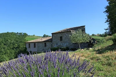 Carincone Fuoco
