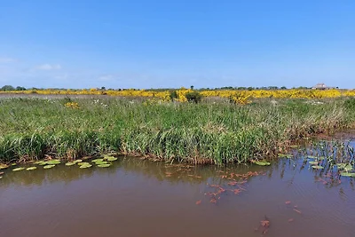 8 persone case ad Hemmet
