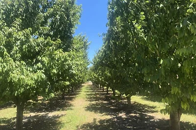 Ferienhaus für 4 Personen