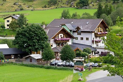 Apartment im Ski-und Wandergebiet in Mallnitz