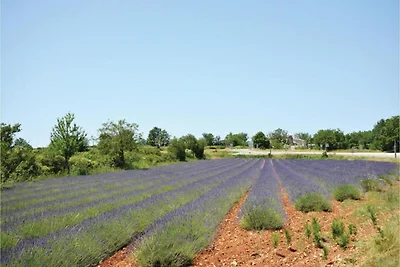 Nette studio aan de rand van de Ardèche