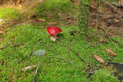 Meeresgluck in albaek -- By Traum...