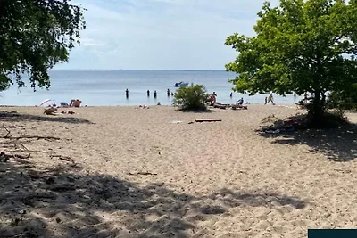 6 Personen vakantie huis in ROCKNEBY