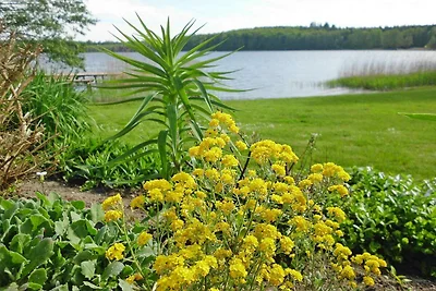 Bungalow in Klein Labenz voor 4 personen
