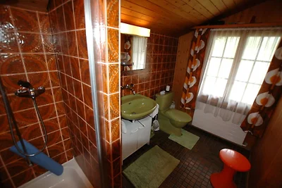 Ferienhaus in Wilderswil mit Garten