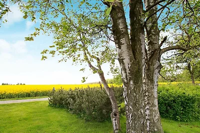 4 Personen Ferienhaus in Otterup-By Traum