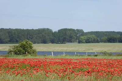 Vakantieappartement met 2 slaapkamers