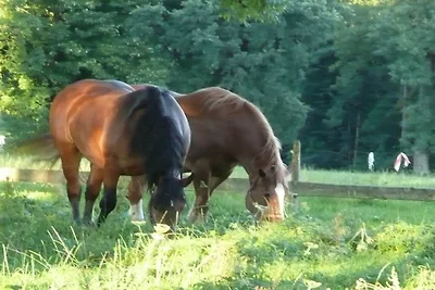 Lerlhof Taubenberg