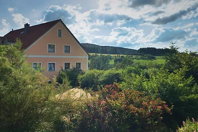 Geräumige Ferienwohnung in Schönsee mit Sauna
