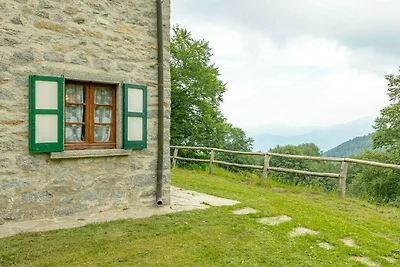 Il Salice - P.IVA