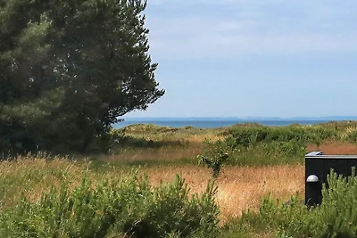 12 persone case ad Læsø-By Traum
