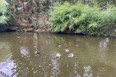 Chalet mit großem Garten und Teich in einem...
