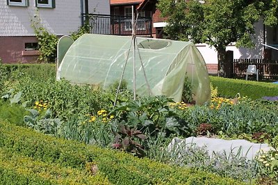 1 Siefertshof Modern toevluchtsoord