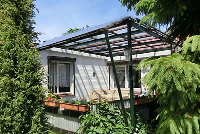 Casa vacanze a Cattenstedt Harz con giardino