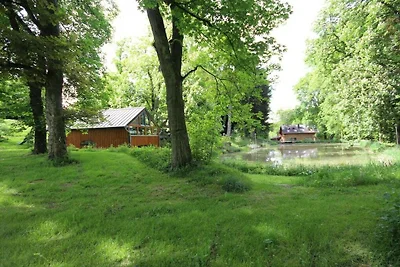 Vakantie kamer met 1 slaapkamer