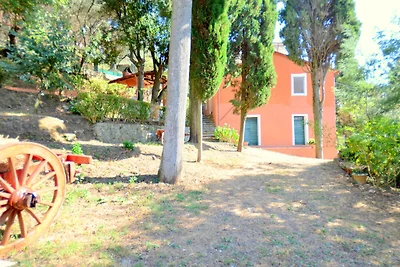 Bellissimo cottage a Massarosa con vista lago