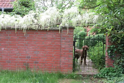 Old journeymen's house