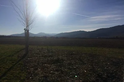 Casa vacanze a Dambach-la-Ville con terrazza