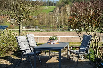 Wohnung im Odenwald mit Terrasse