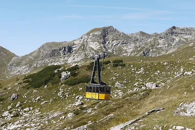 Gams im Landhaus am Bächle