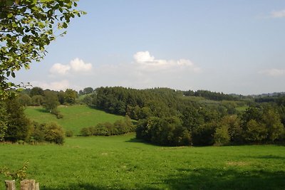 Antiker Bauernhof in Basse-Bodeux in Waldnähe