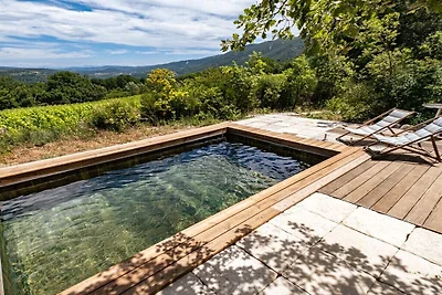 Ferienhaus in Saignon mit Schwimmbecken