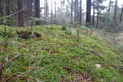 Luxuriöses Refugium mit Pool