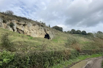 Vakantiehuis bij Bemelerberg Natuurgebied