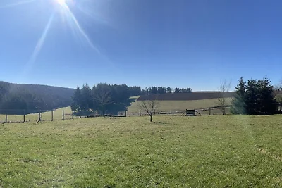 Bij de 5 berken