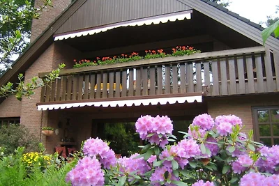 Landhaus DAT FALKENHUUS