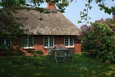 Ferienhaus mit 1 Schlafzimmer