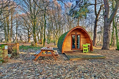 Wald-Glamping in Bury St.
