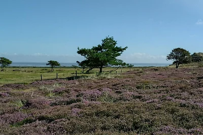 5 Personen Ferienhaus in Fanø