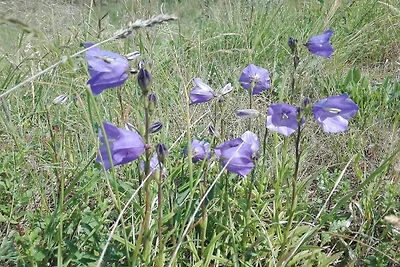 6 persone case ad Nykøbing Sj-By Traum