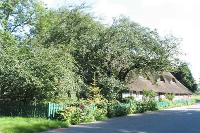Ferienwohnung mit 1 Schlafzimmer