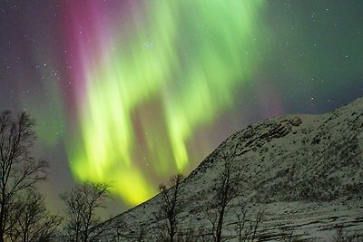 6 Personen Ferienhaus in Kvalsund